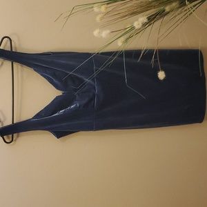 Velvet Blue Suede Dress